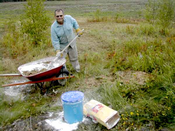 Another (Old) Log Home Question - Homesteading Questions
