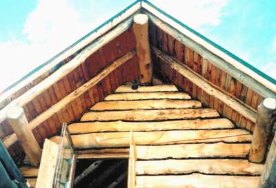 Log cabin repair experiences? - Homesteading Questions