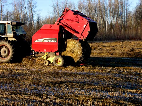 Weather - Bales today! - Homesteading Questions