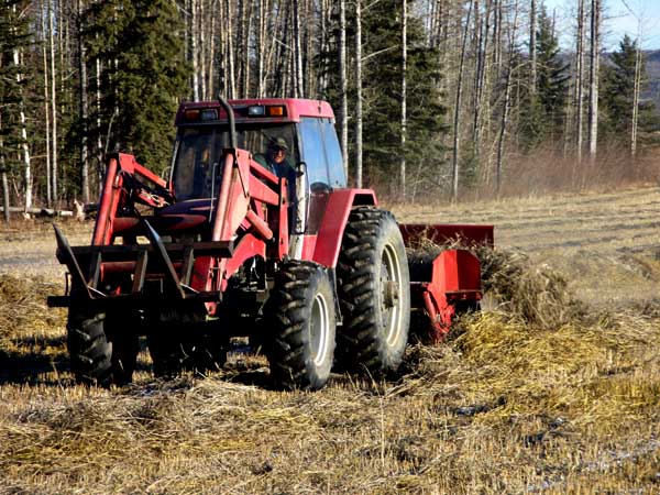 Weather - Bales today! - Homesteading Questions