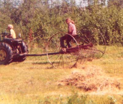 Identify these antique wheels, pls. - Homesteading Questions