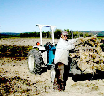 Information on Canada - Homesteading Questions