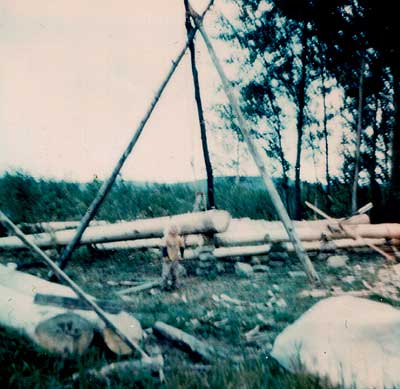 Building a large log cabin? - Homesteading Questions