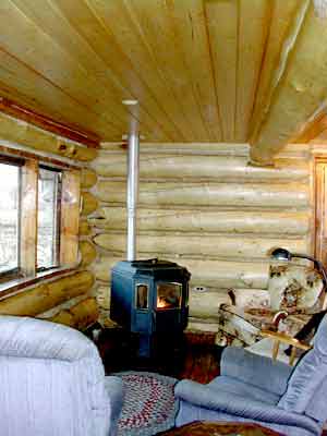 Stripping Bark - Homesteading Questions