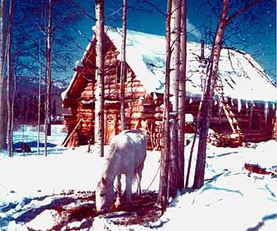 Log home building-Skip Ellsworth's class - Homesteading Questions